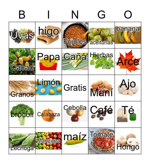 Plantas : Comida Bingo Card