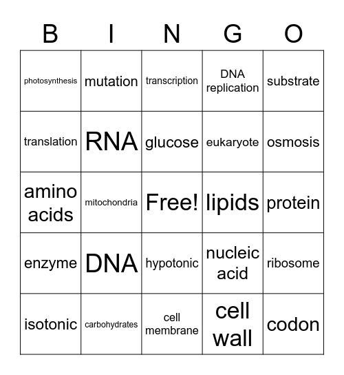 Biology Review Bingo Card