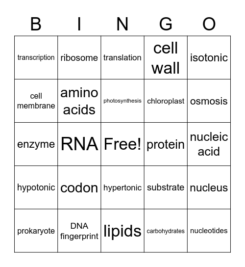 Biology Review Bingo Card