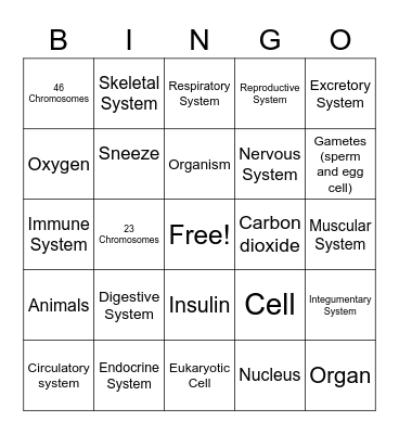 Body Organ Systems Bingo Card