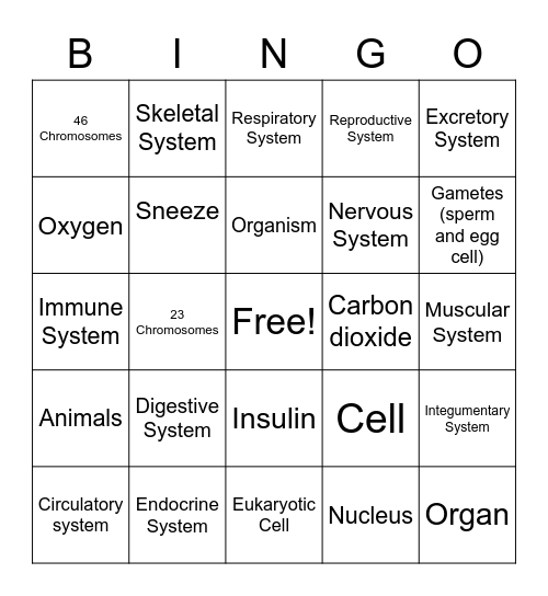 Body Organ Systems Bingo Card