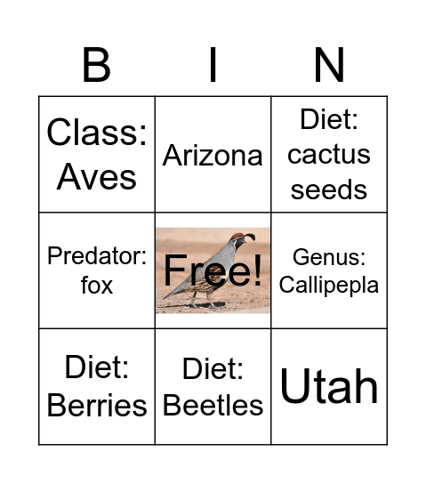 Gamble's Quail Bingo Card