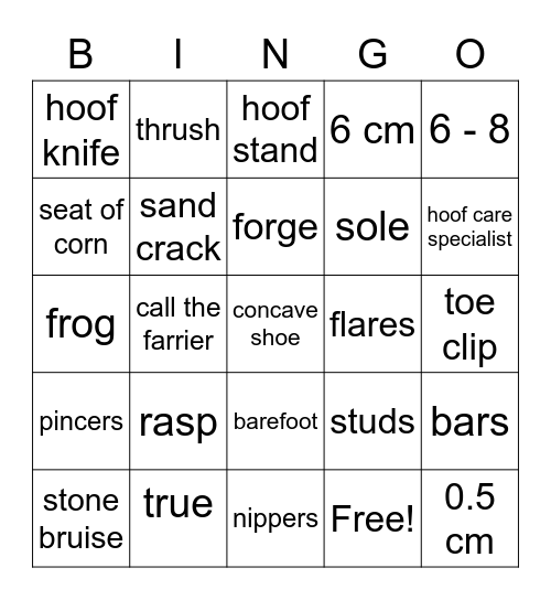 Shoeing and hoof care Bingo Card