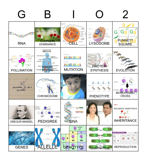 Mac Froi Paz    Stem12-C Bingo Card