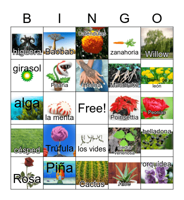 NYBG Plant Bingo: Culture Bingo Card