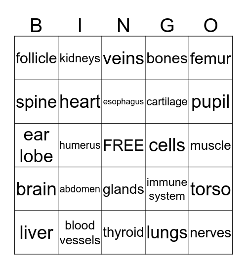 The Human Body Bingo Card