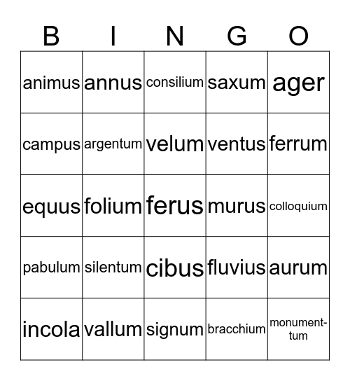 LATIN A: CHAPTER 18 REVIEW Bingo Card