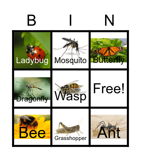 Bug Bingo Card
