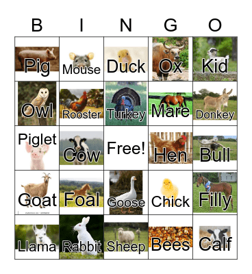 Farm Animal Bingo Card