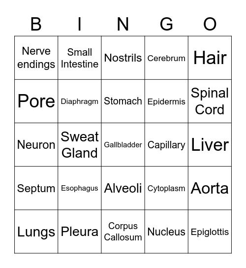 Biology Bingo Card