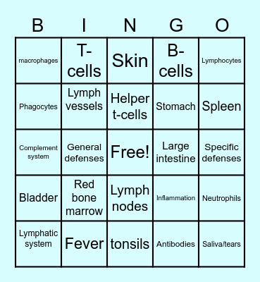 Immune System Bingo! Bingo Card