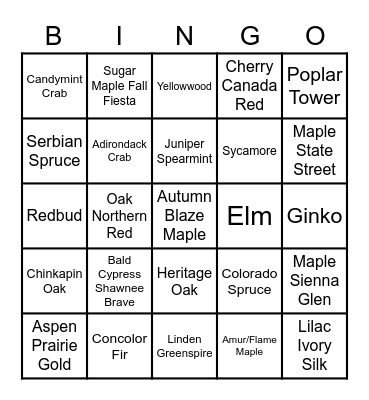 B&B TREE BINGO Card