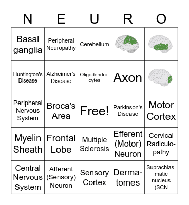Neuroscience Bingo Card