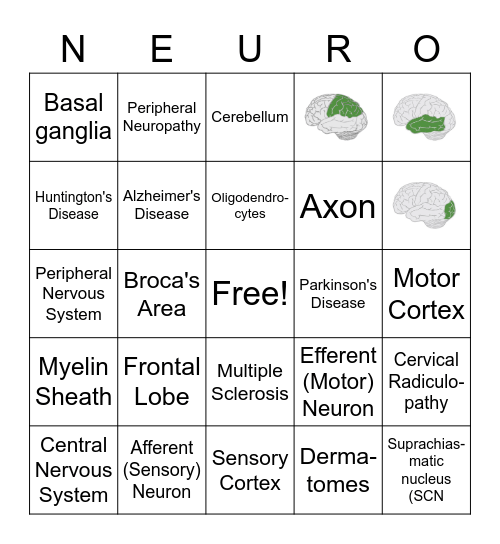 Neuroscience Bingo Card