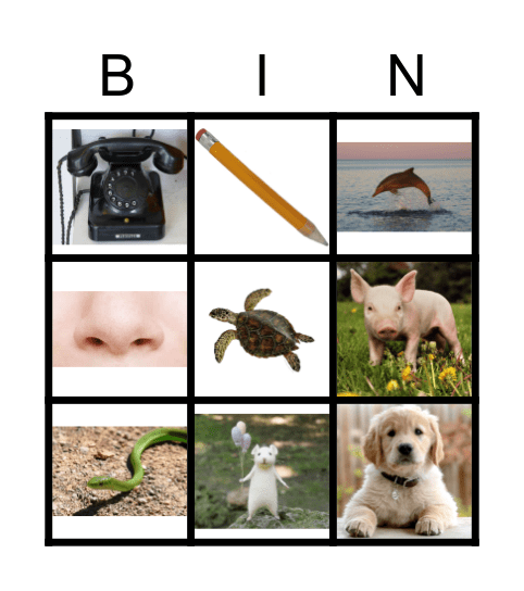 Initial Sounds Bingo Card
