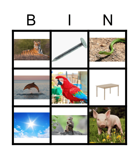 Initial sounds Bingo Card