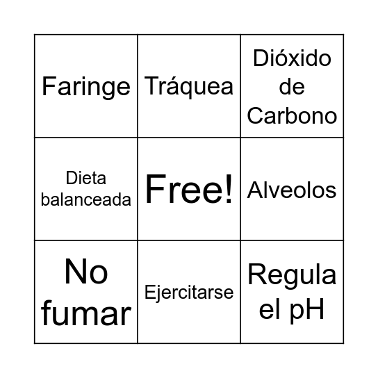 Sistema Respiratorio Bingo Card