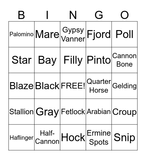Pony Club Bingo Card