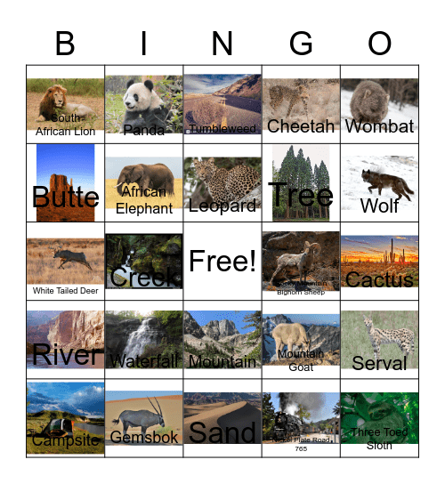 African Cats and other National Park related stuff Bingo Card