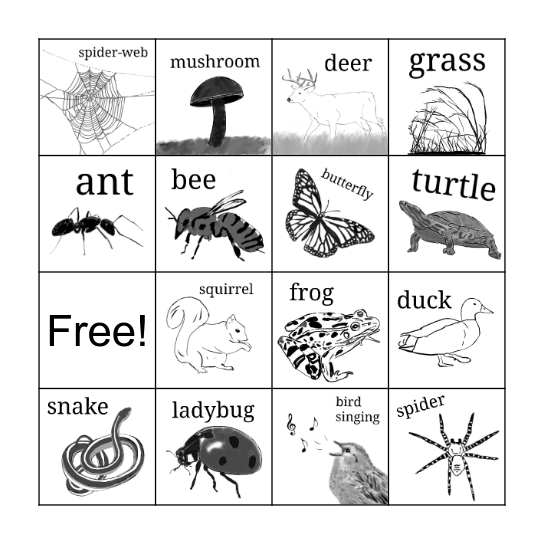 Nature Bingo Card