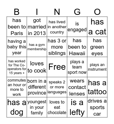 Ice Breaker Bingo  Bingo Card