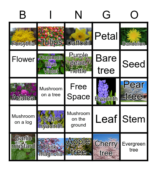 April Bingo Card