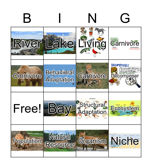 Ecosystem Review Bingo Card