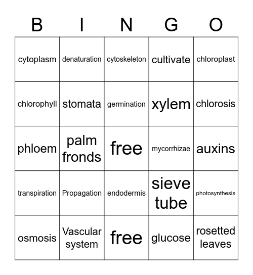 Plant Nutrition Bingo Card
