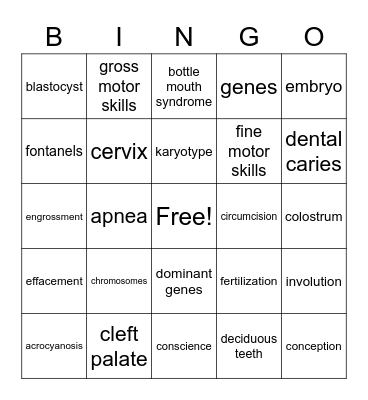 chapter 6 Prenatal Period to 1 Year Bingo Card