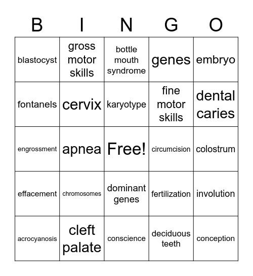 chapter 6 Prenatal Period to 1 Year Bingo Card