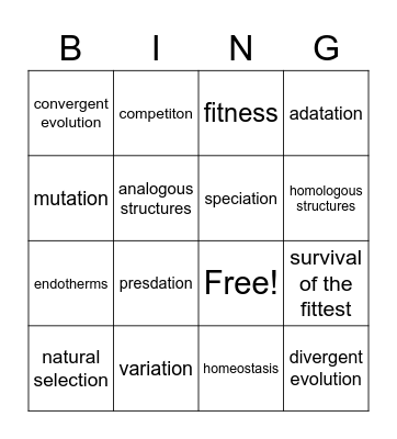 Bingo Card