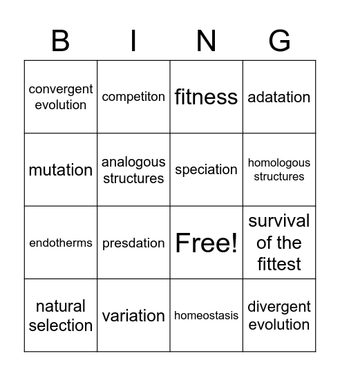 Bingo Card