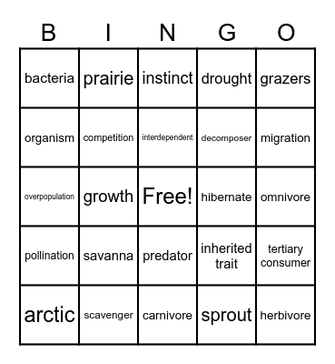 Life Science Vocabulary Bingo Card