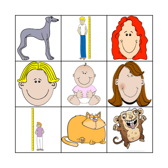 Adjectifs descriptifs Bingo Card