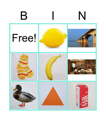 What am I? Bingo Card