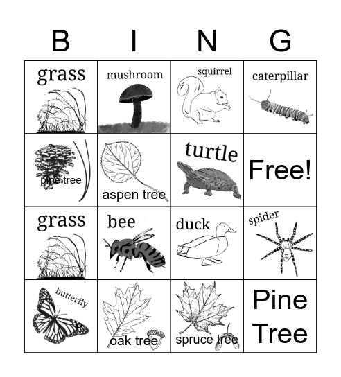 Late Elementary Bingo Card
