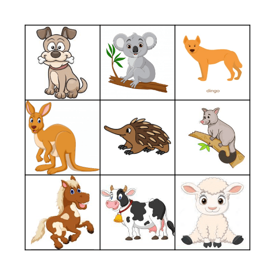 Gamilaraay Animals Bingo Card