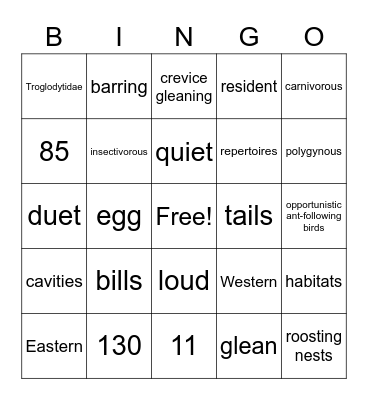 Troglodytidae Bingo Card