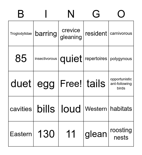 Troglodytidae Bingo Card
