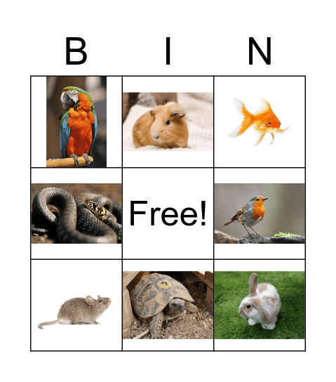 PETS Bingo Card