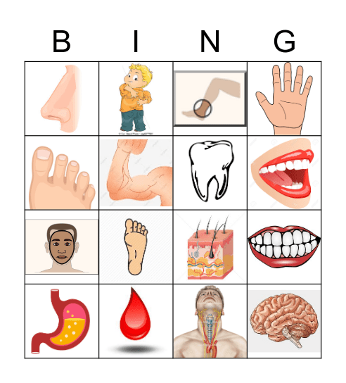 partes del cuerpo humano - III Bingo Card