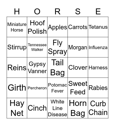 FUN RIDERS Bingo Card