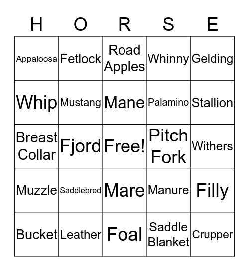 FUN RIDERS Bingo Card