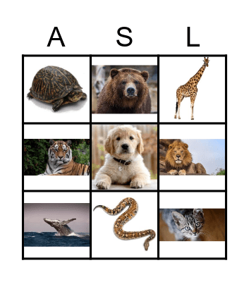 Learning American Sign Language Bingo Card