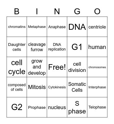 Cell Cycle-Mitosis Bingo Card