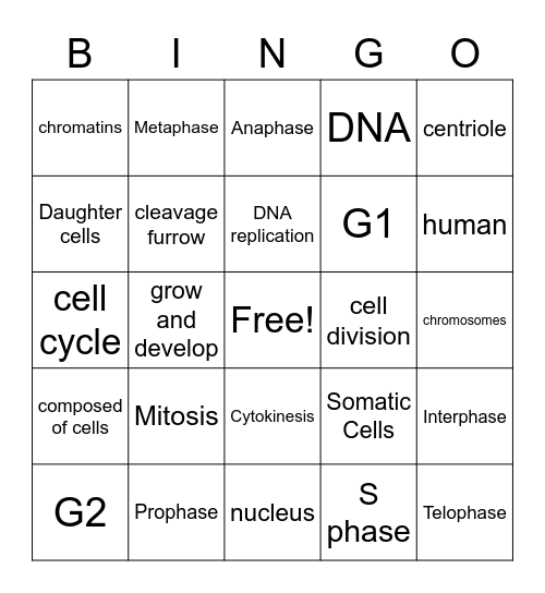 Cell Cycle-Mitosis Bingo Card
