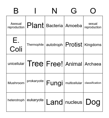 6 Kingdoms BINGO Card