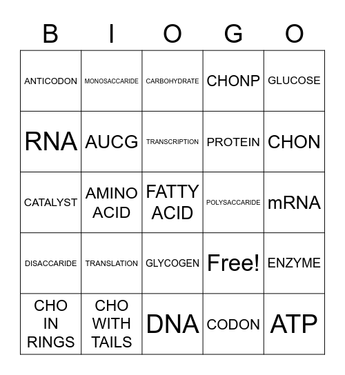 Review Bingo 1 Bingo Card