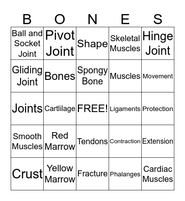 Human Body Review Bingo Card