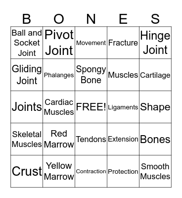 Human Body Review Bingo Card